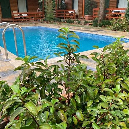 Tatil Keyfi Motel Kocaeli Eksteriør bilde